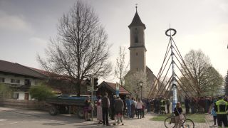 Link to Video | Upper Bavaria, community, Full High Definition, 2013, Deining (Egling), color, custom, May 1, municipality in Germany, village, teamwork, maypole, tradition, May Day, Bavaria