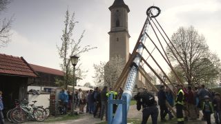 Link to Video | Upper Bavaria, community, Full High Definition, 2013, Deining (Egling), color, custom, May 1, municipality in Germany, village, teamwork, maypole, tradition, May Day, Bavaria