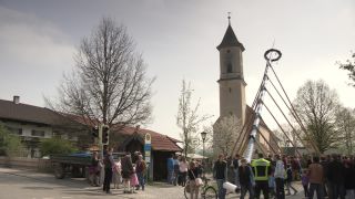 Link to Video | Upper Bavaria, community, Full High Definition, 2013, Deining (Egling), color, custom, May 1, municipality in Germany, village, teamwork, maypole, tradition, May Day, Bavaria
