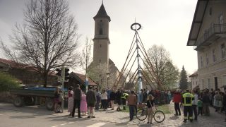 Link to Video | Upper Bavaria, community, Full High Definition, 2013, Deining (Egling), color, custom, May 1, municipality in Germany, village, teamwork, maypole, tradition, May Day, Bavaria