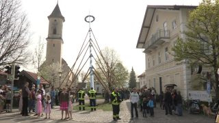 Link to Video | Upper Bavaria, community, Full High Definition, 2013, Deining (Egling), color, custom, May 1, municipality in Germany, village, teamwork, maypole, tradition, May Day, Bavaria