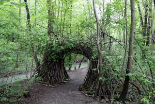 Link to Photo | photography, photograph