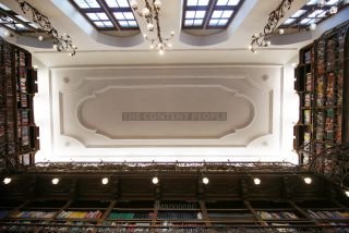 Link to Photo | photography, Perspektiven, daylight, Munich, Legnica town hall, perspective, perspective, ceiling, rathaus, tourist attraction, library
