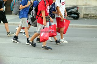 Link to Photo | photography, Munich, FC Bayern, association football, Bavaria