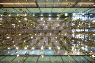 Link to Photo | photography, covered passageway, Fünf Höfe, Perspektiven, Munich, Germany, perspective, perspective, color photograph, Bavaria