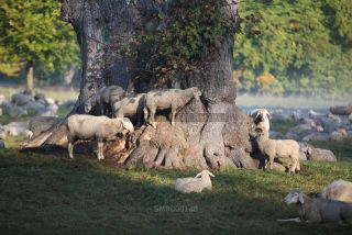 Link to Photo | photography, Munich, Bavaria