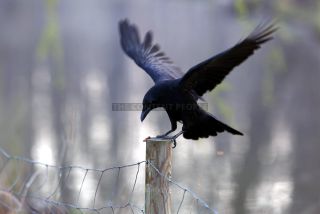 Link to Photo | photography, photograph, color photography, Munich, Germany, global city, digital color photograph, Bavaria