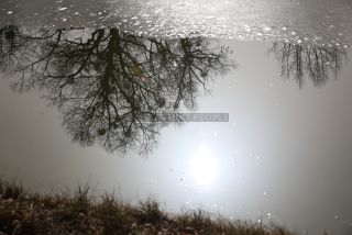 Link to Photo | photography, photograph, color photography, Munich, Germany, global city, digital color photograph, Bavaria