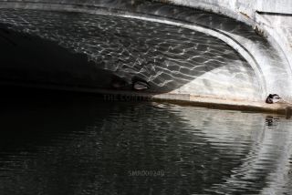 Link to Photo | photography, photograph, color photography, Munich, Germany, global city, digital color photograph, Bavaria