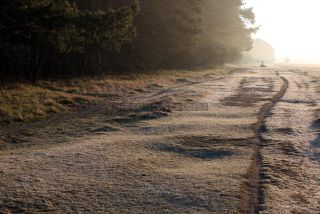 Link to Photo | photography, photograph, color photography, Munich, Germany, global city, digital color photograph, Bavaria