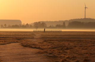 Link to Photo | photography, photograph, color photography, Munich, Germany, global city, digital color photograph, Bavaria