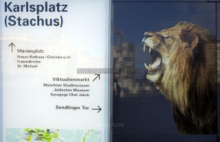 Link to Photo | photography, photograph, color photography, Munich, Germany, global city, digital color photograph, Bavaria