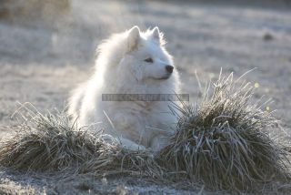 Link to Photo | photography, color photography, digital color photograph, color photograph