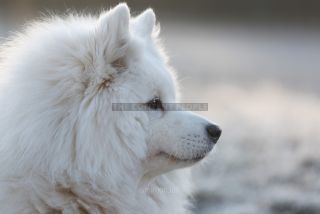 Link to Photo | photography, color photography, digital color photograph, color photograph
