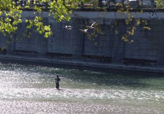 Link to Photo | photography, color photography, digital color photograph, color photograph