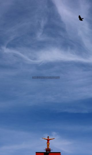 Link to Photo | photography, color photography, digital color photograph, color photograph