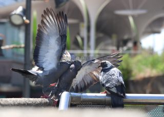 Link to Photo | photography, color photography, digital color photograph, color photograph