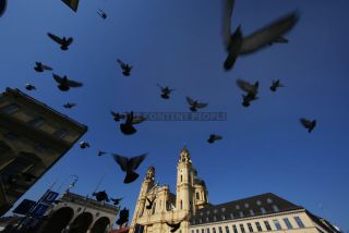 Link to Photo | photography, color photography, digital color photograph, color photograph