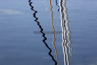 Link to Photo | photography, Lake Starnberg, color photography, lake, mirror image, Reflektion, water, digital color photograph, color photograph, Bavaria