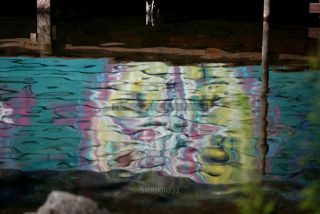 Link to Photo | photography, Lake Starnberg, color photography, lake, mirror image, Reflektion, water, digital color photograph, color photograph, Bavaria