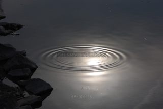 Link to Photo | photography, color photography, digital color photograph, color photograph