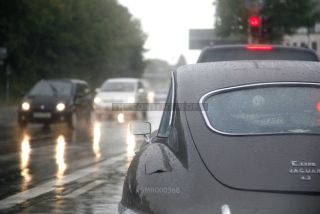 Link to Photo | photography