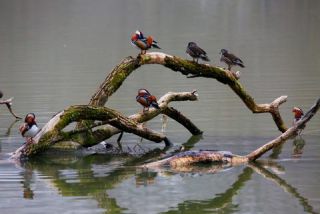 Link to Photo | photography