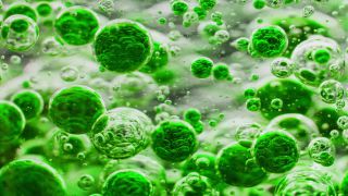 Link to Video | liquid, background, drop, vaccination, shuffling, water, multicolored, green, mixing, poison, derivative work, lava lamp, oil, Brause