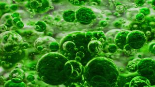 Link to Video | liquid, background, drop, vaccination, shuffling, water, multicolored, green, mixing, poison, derivative work, lava lamp, oil, Brause