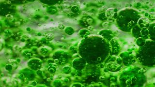 Link to Video | liquid, background, drop, vaccination, shuffling, water, multicolored, green, mixing, poison, derivative work, lava lamp, oil, Brause
