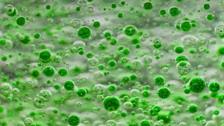 Link to Video | liquid, background, drop, vaccination, shuffling, water, multicolored, green, mixing, poison, derivative work, lava lamp, oil, Brause
