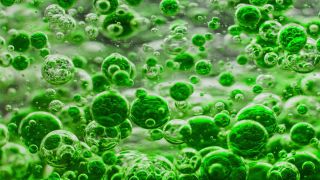 Link to Video | liquid, background, drop, vaccination, shuffling, water, multicolored, green, mixing, poison, derivative work, lava lamp, oil, Brause