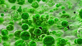 Link to Video | liquid, background, drop, vaccination, shuffling, water, multicolored, green, mixing, poison, derivative work, lava lamp, oil, Brause