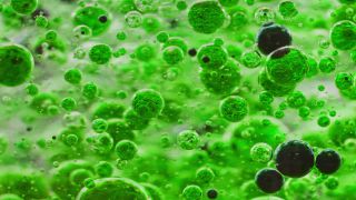 Link to Video | liquid, background, drop, vaccination, shuffling, water, multicolored, green, mixing, poison, derivative work, lava lamp, oil, Brause