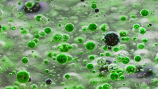 Link to Video | liquid, background, drop, vaccination, shuffling, water, multicolored, green, mixing, poison, derivative work, lava lamp, oil, Brause