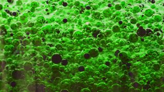 Link to Video | liquid, background, drop, vaccination, shuffling, water, multicolored, green, mixing, poison, derivative work, lava lamp, oil, Brause