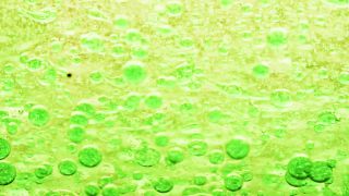 Link to Video | liquid, background, drop, vaccination, shuffling, water, multicolored, green, mixing, poison, derivative work, lava lamp, oil, Brause