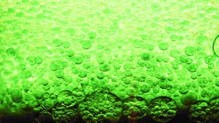 Link to Video | liquid, background, drop, vaccination, shuffling, water, multicolored, green, mixing, poison, derivative work, lava lamp, oil, Brause