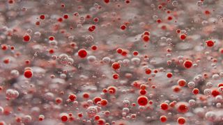Link to Video | liquid, background, drop, vaccination, shuffling, water, multicolored, red, mixing, poison, derivative work, lava lamp, oil, Brause