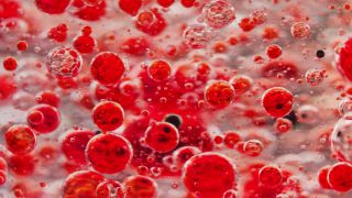 Link to Video | liquid, background, drop, vaccination, shuffling, water, multicolored, red, mixing, poison, derivative work, lava lamp, oil, Brause