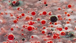 Link to Video | liquid, background, drop, vaccination, shuffling, water, multicolored, red, mixing, poison, derivative work, lava lamp, oil, Brause