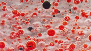 Link to Video | liquid, background, drop, vaccination, shuffling, water, multicolored, red, mixing, poison, derivative work, lava lamp, oil, Brause