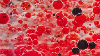 Link to Video | liquid, background, drop, vaccination, shuffling, water, multicolored, red, mixing, poison, derivative work, lava lamp, oil, Brause
