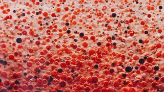 Link to Video | liquid, background, drop, vaccination, shuffling, water, multicolored, red, mixing, poison, derivative work, lava lamp, oil, Brause