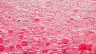 Link to Video | liquid, background, drop, vaccination, shuffling, water, multicolored, red, mixing, poison, derivative work, lava lamp, oil, Brause