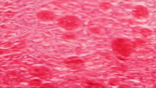 Link to Video | liquid, background, drop, vaccination, shuffling, water, multicolored, red, mixing, poison, derivative work, lava lamp, oil, Brause