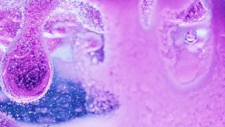 Link to Video | liquid, background, drop, vaccination, shuffling, purple, water, multicolored, violet blue, mixing, poison, violet, derivative work, lava lamp, oil, Brause