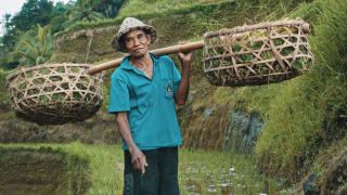 Link to Video | pandemic, sustainable tourism, sightseeing, paid leave, Indonesia, liberty, Bali Island, Asia, COVID-19, Thailand