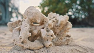 Link to Video | pandemic, sustainable tourism, sightseeing, paid leave, Indonesia, liberty, Bali Island, Asia, COVID-19, Thailand