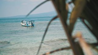 Link to Video | pandemic, sustainable tourism, sightseeing, paid leave, Indonesia, liberty, Bali Island, Asia, COVID-19, Thailand